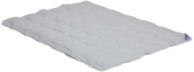 Kaxholmen Dyne 150x200 700 gram
