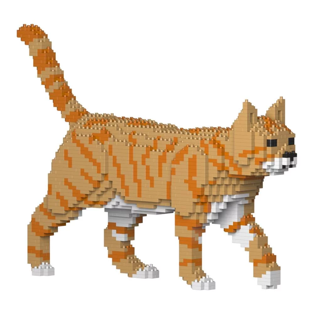 JECKA BLOCS DE CONSTRUCTION -CHAT TIGRE ROUX