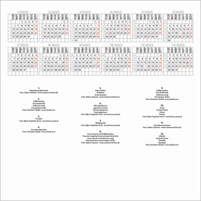 Kalender - 2025 - Horses