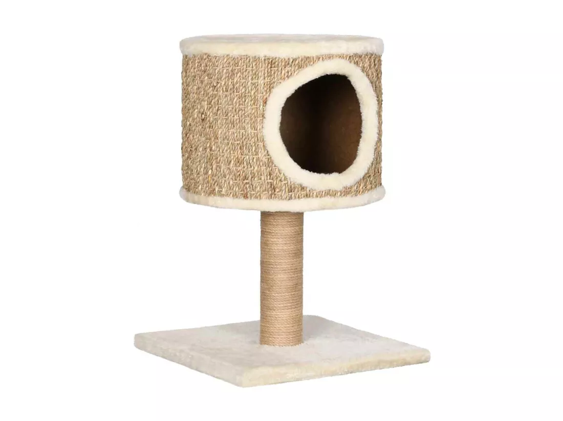 Arbre à chat avec appartement et griffoir 52 cm Herbiers marins
