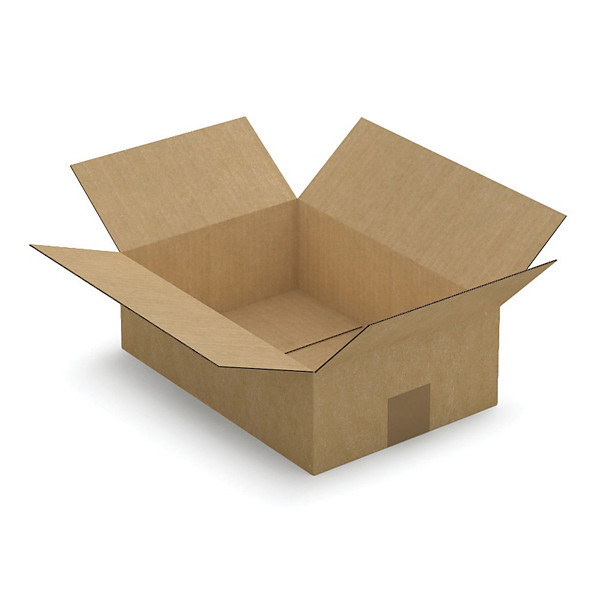 Caisse simple cannelure brune 31x21,5x10 cm, lot de 25