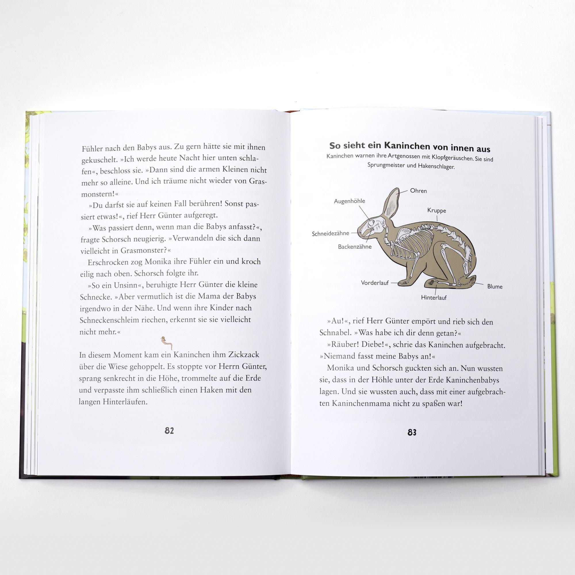 Warum pupsen Schnecken? / Die kleine Schnecke Monika Häuschen Bd.2