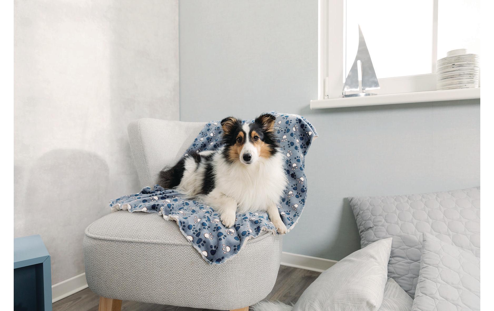 Hunde-Decke Tammy 100 x 70 cmWeiche, kuschelige Decke für Hunde