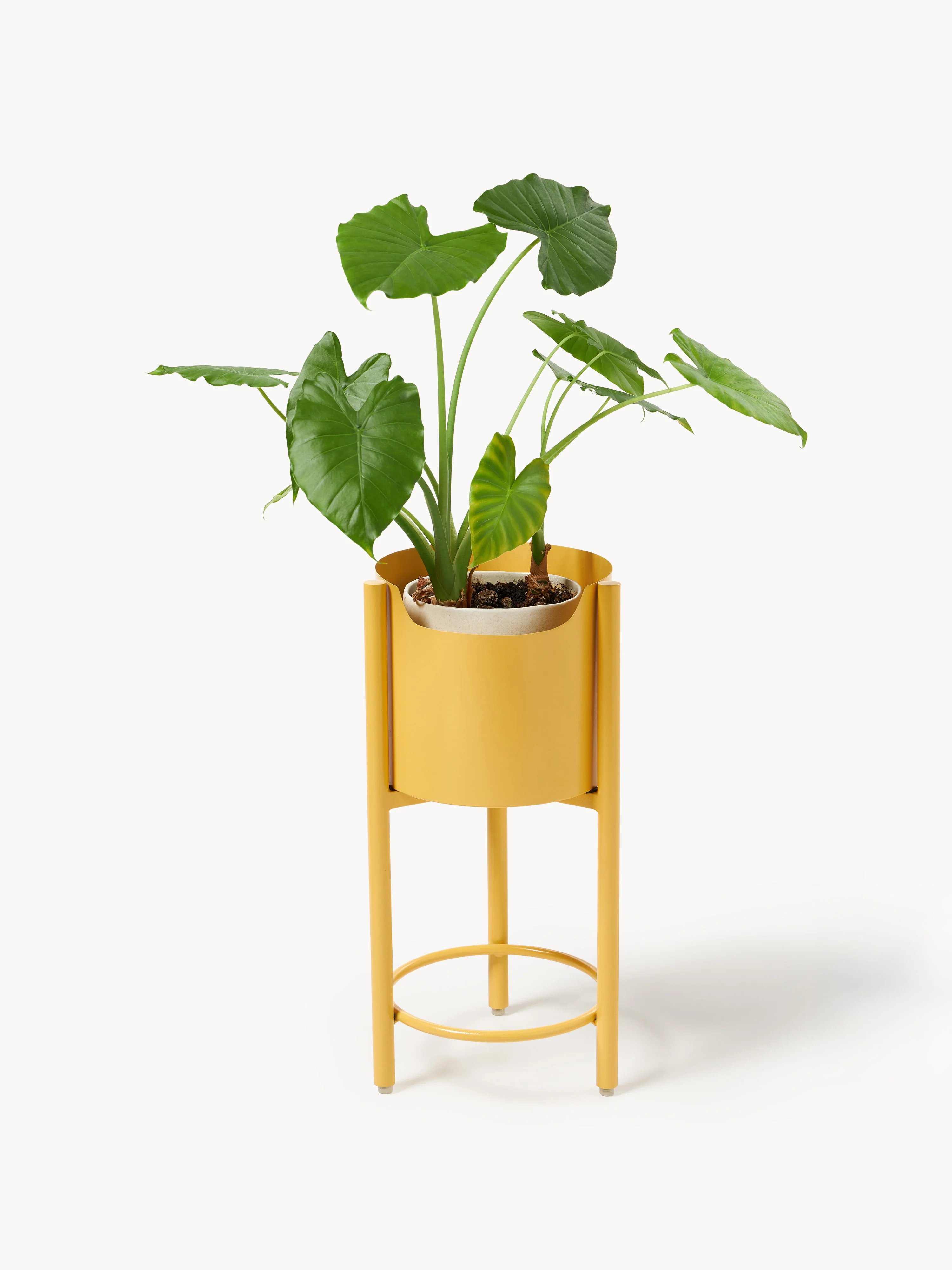 Metalen plantenbak Taru, H 45 cm