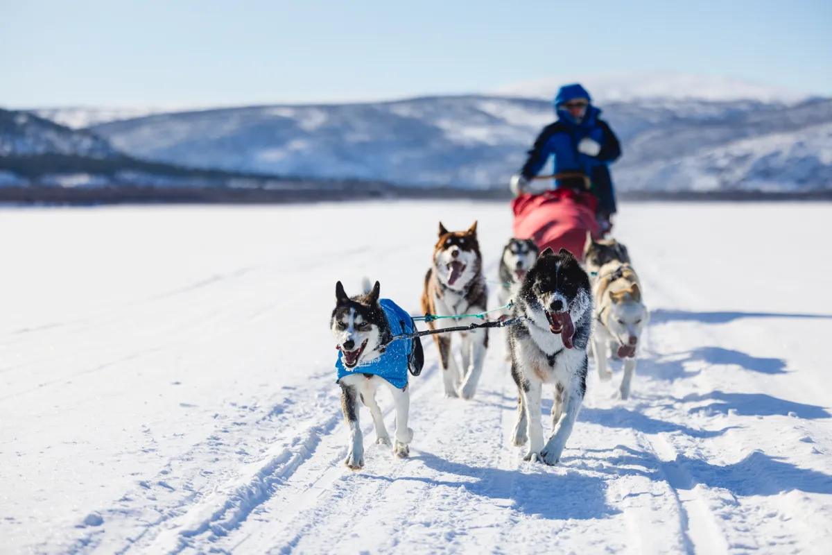 Non-stop Dogwear Long Distance Light Jacket Blue