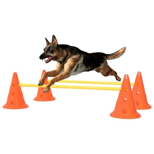 Obstáculo de atividade laranja Vidaxl para cães