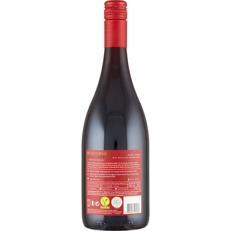 Day One Pinot Noir