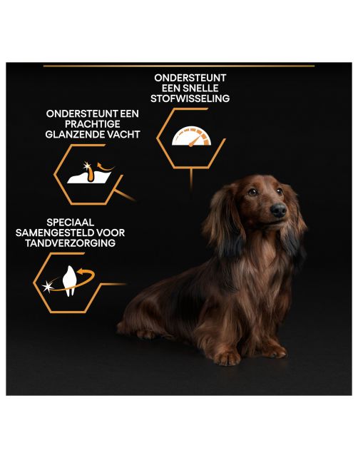 Pro Plan Dog Adult Small & Mini Breed Kip - Hondenvoer