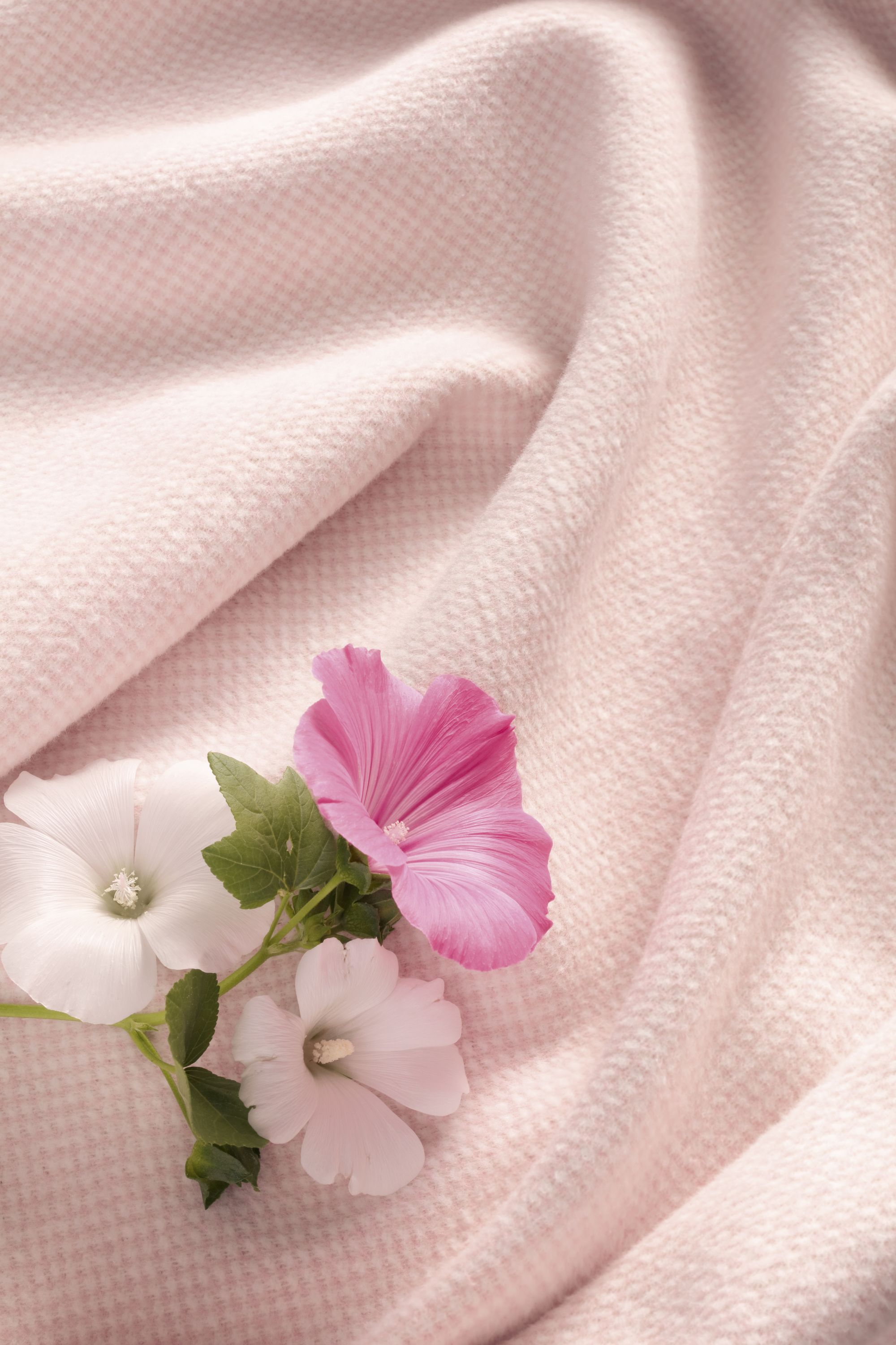 Wohndecke COTTON COMFORT