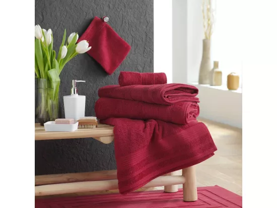 Lot de 2 Gants de Toilette 