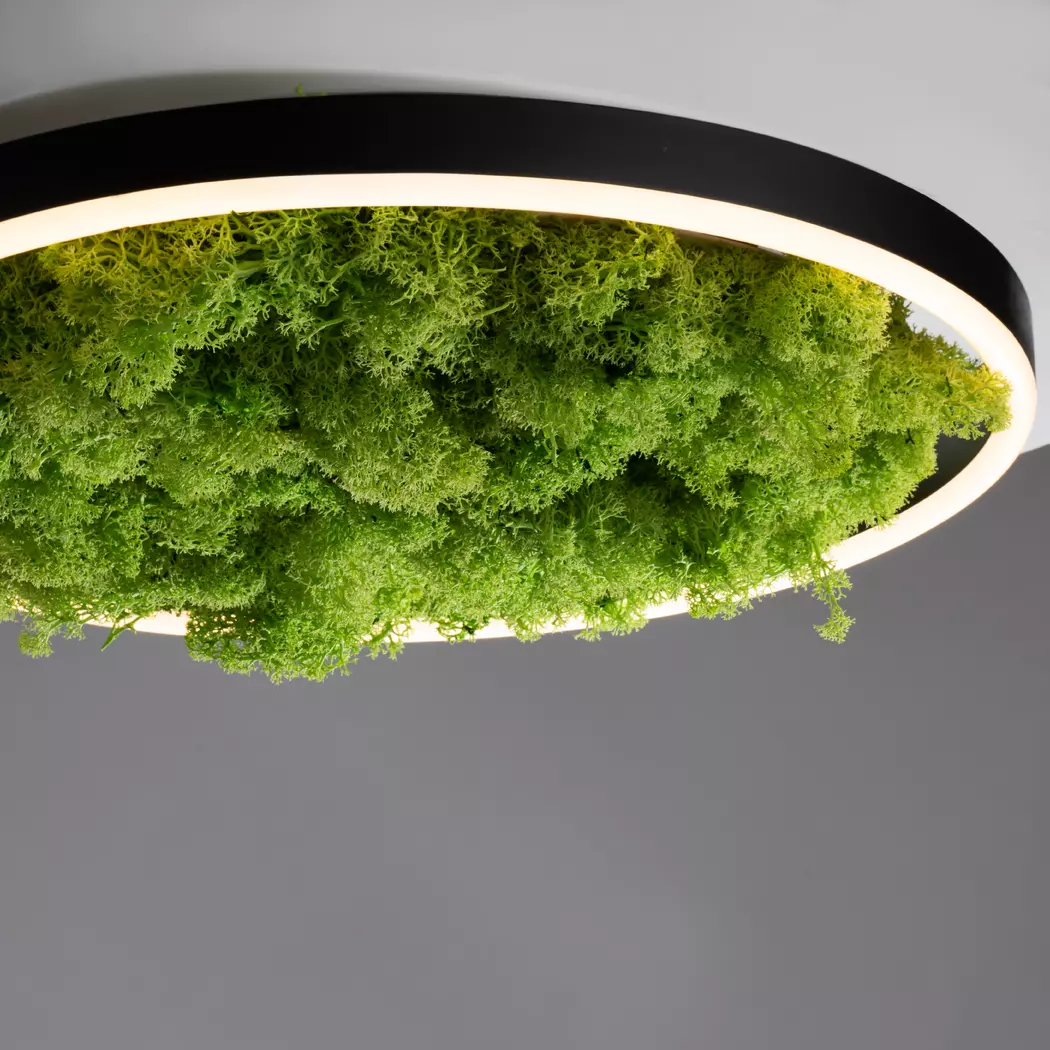 LED-Deckenleuchte Green Ritu