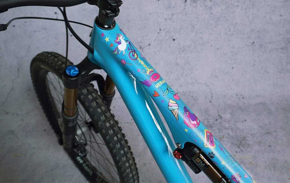 DYEDBRO Unicorn Rahmenschutz Kit kaufen | Bike-Discount