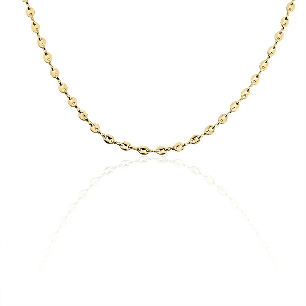 Collier Plaqué Or Jaune William