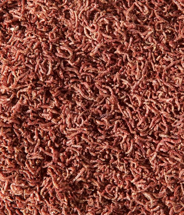 Dehner Aqua Rote Mückenlarven