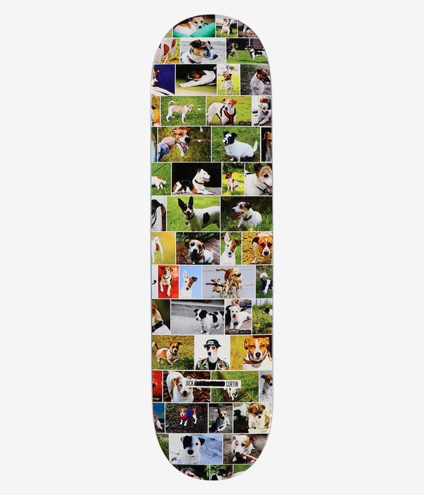 Skate Mental Curtin Jack Russel 8