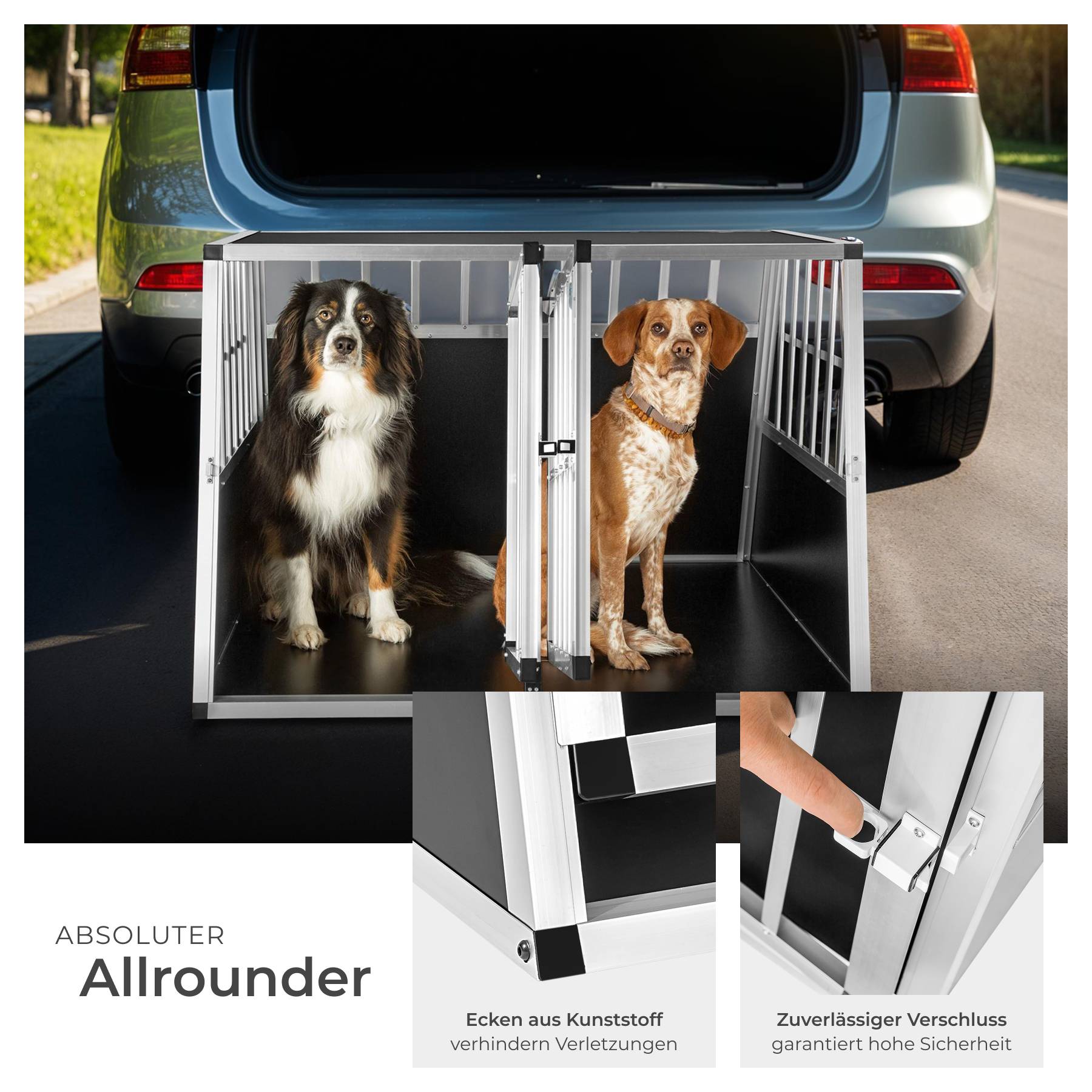 Hundetransportbox doppel