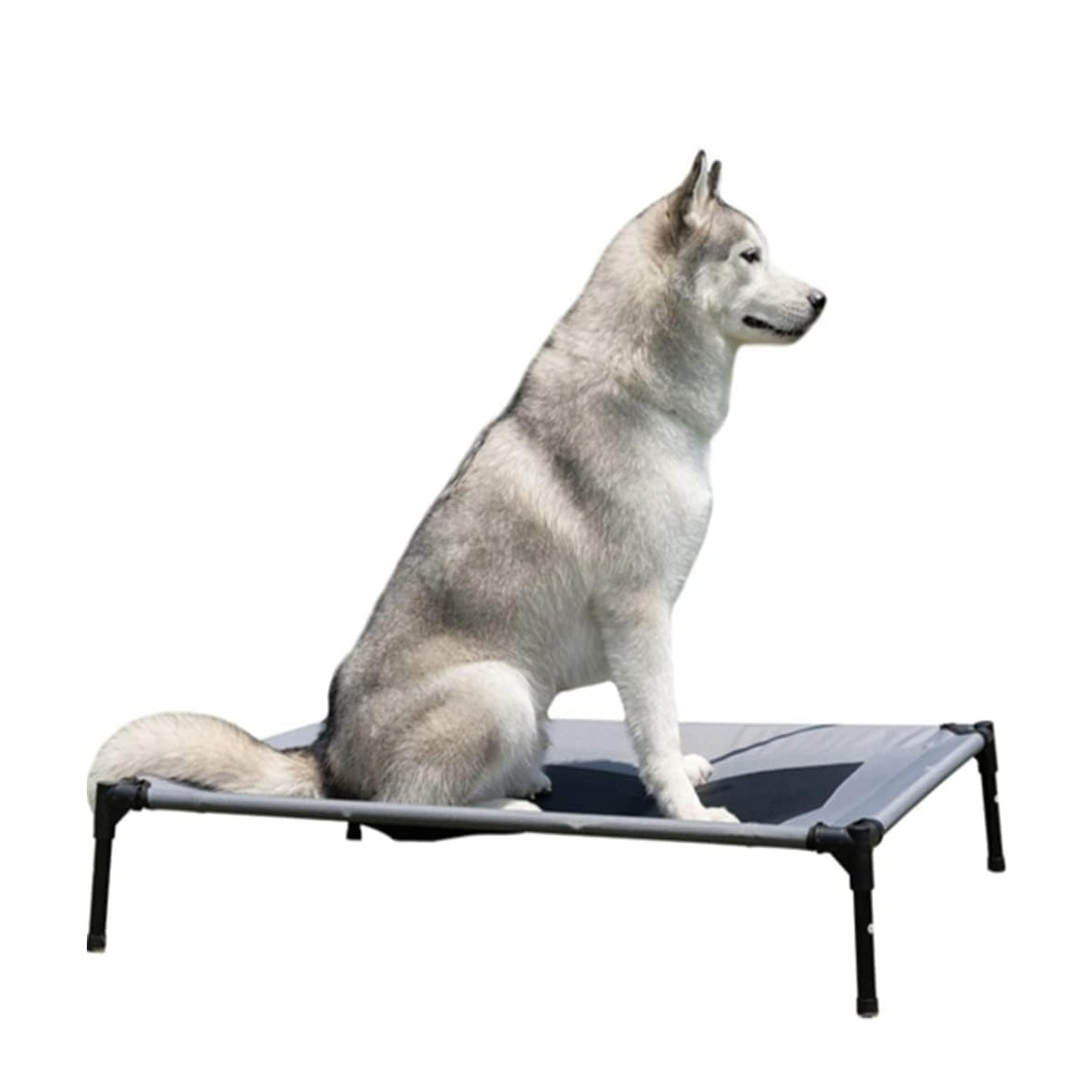 (92x76cm) Erhöhtes Hundebett Outdoor Camping Zelt Hundeliege Kühlendes Haustierbett mit Dach - Grau