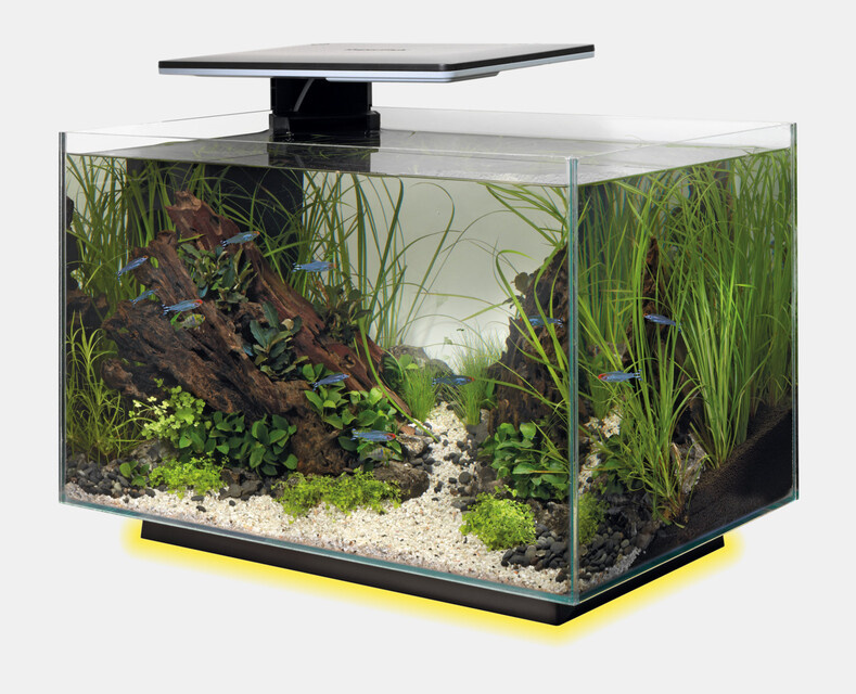 Superfish Quadro 40 Multi Colour Wit Voordeelbundel