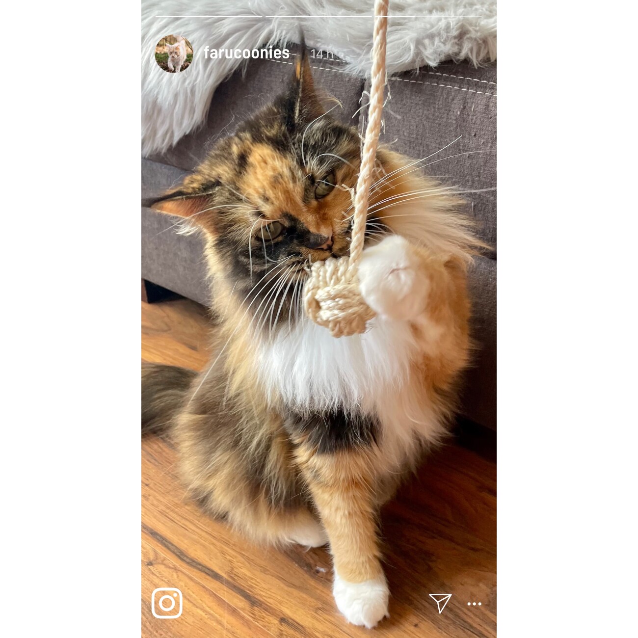 Kater Kasimir Katzenball Affenfaust aus reinem Sisal mit Glöckchen