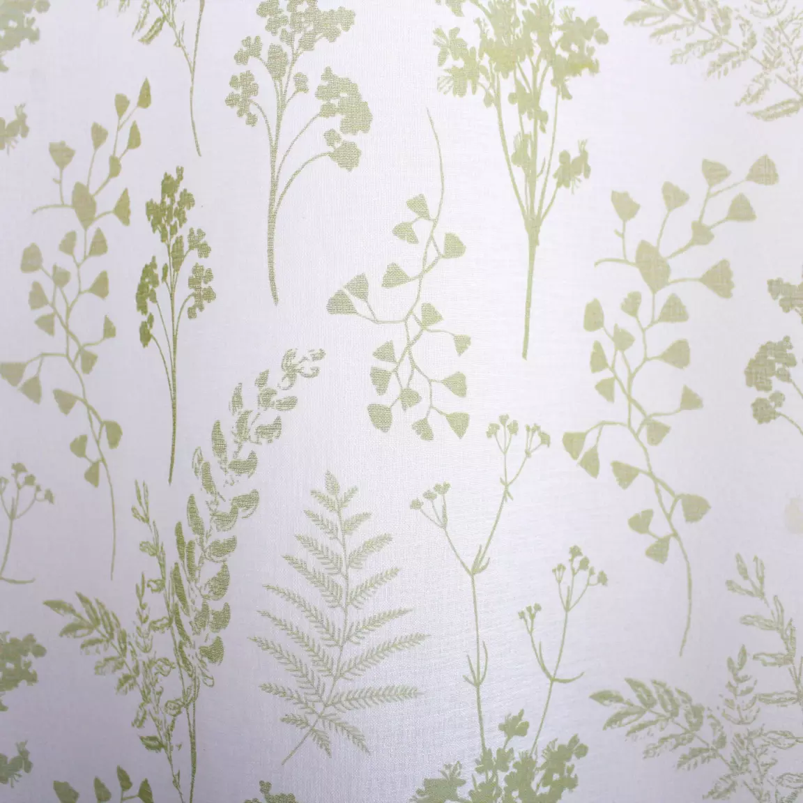 Voilage (140 x 240 cm) Herbier Vert tilleul