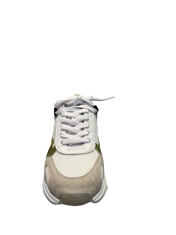 Via Vai 60011-05 1051 Dragon
