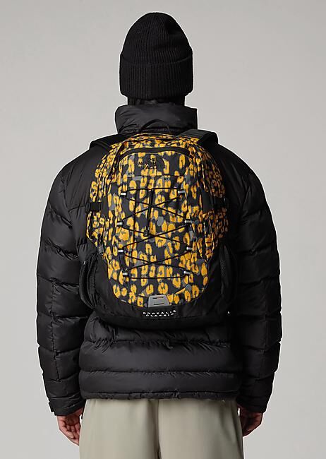 THE NORTH FACE - SAC A DOS BOREALIS