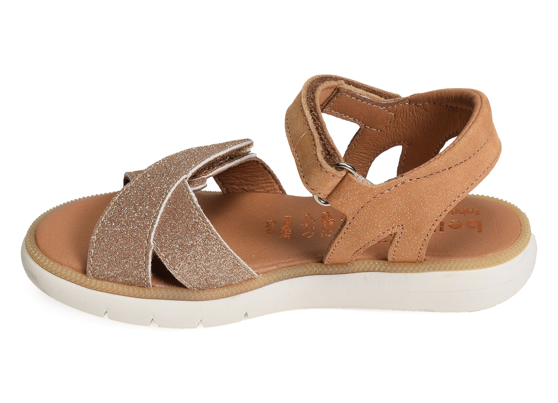 Evi camel