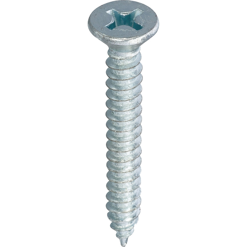 Plaatschroeven platkop 4,2x19mm PH2