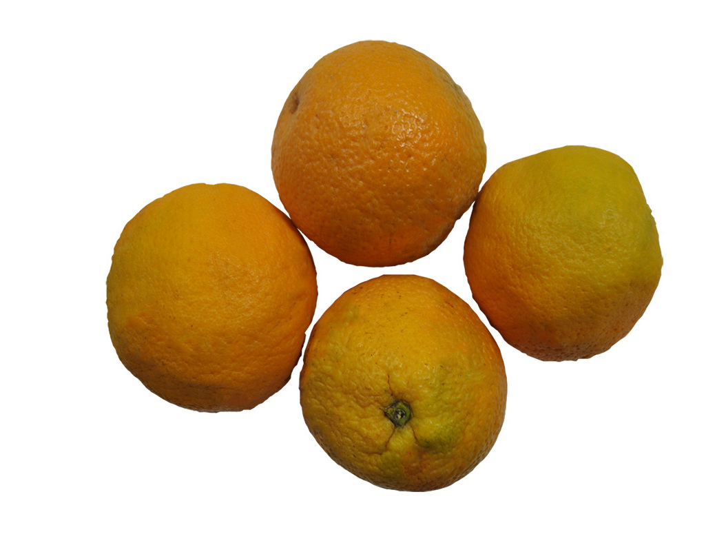 LARANJA BIO KG