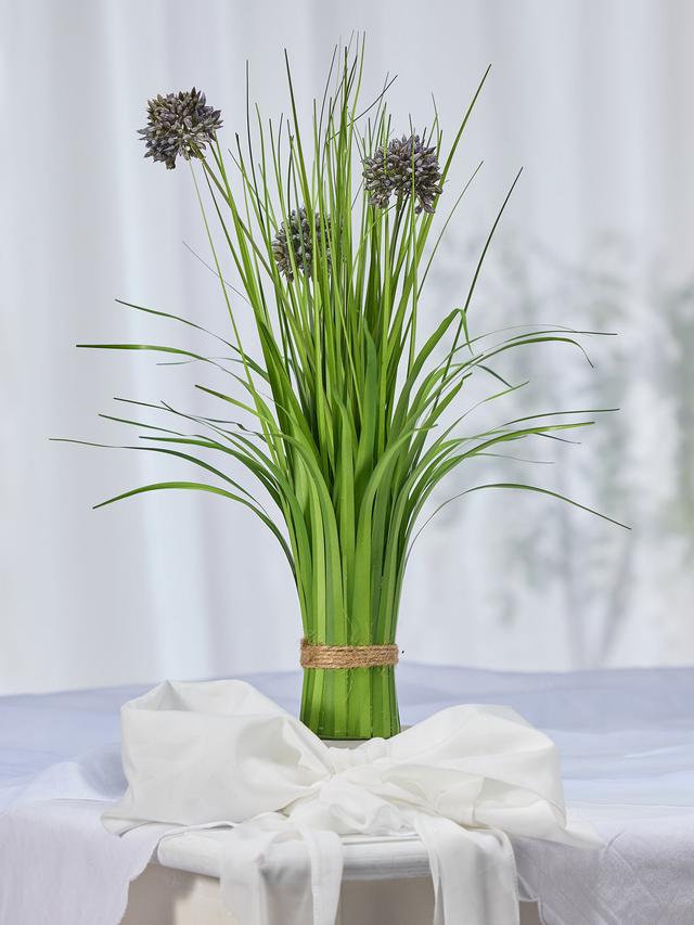 Stehgras mit Allium