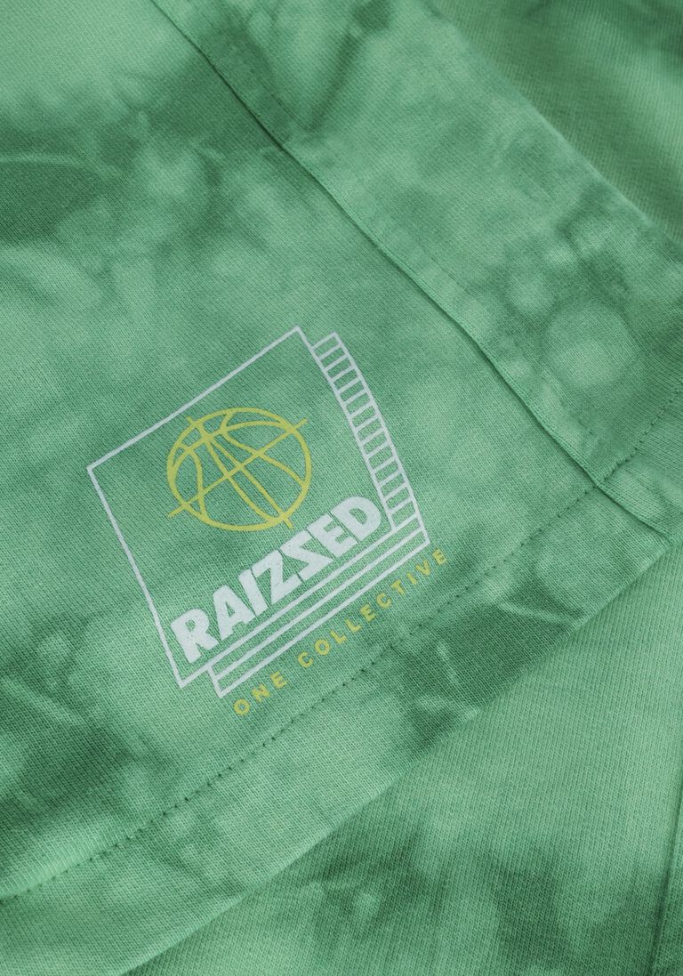 RAIZZED groene raizzed korte broek brandon