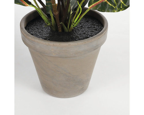 Kunstplant Kroon Croton Ø 40 H 73 cm grijs