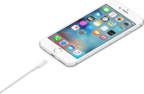 Apple Oplader 12W + Usb A naar Lightning Kabel 1m