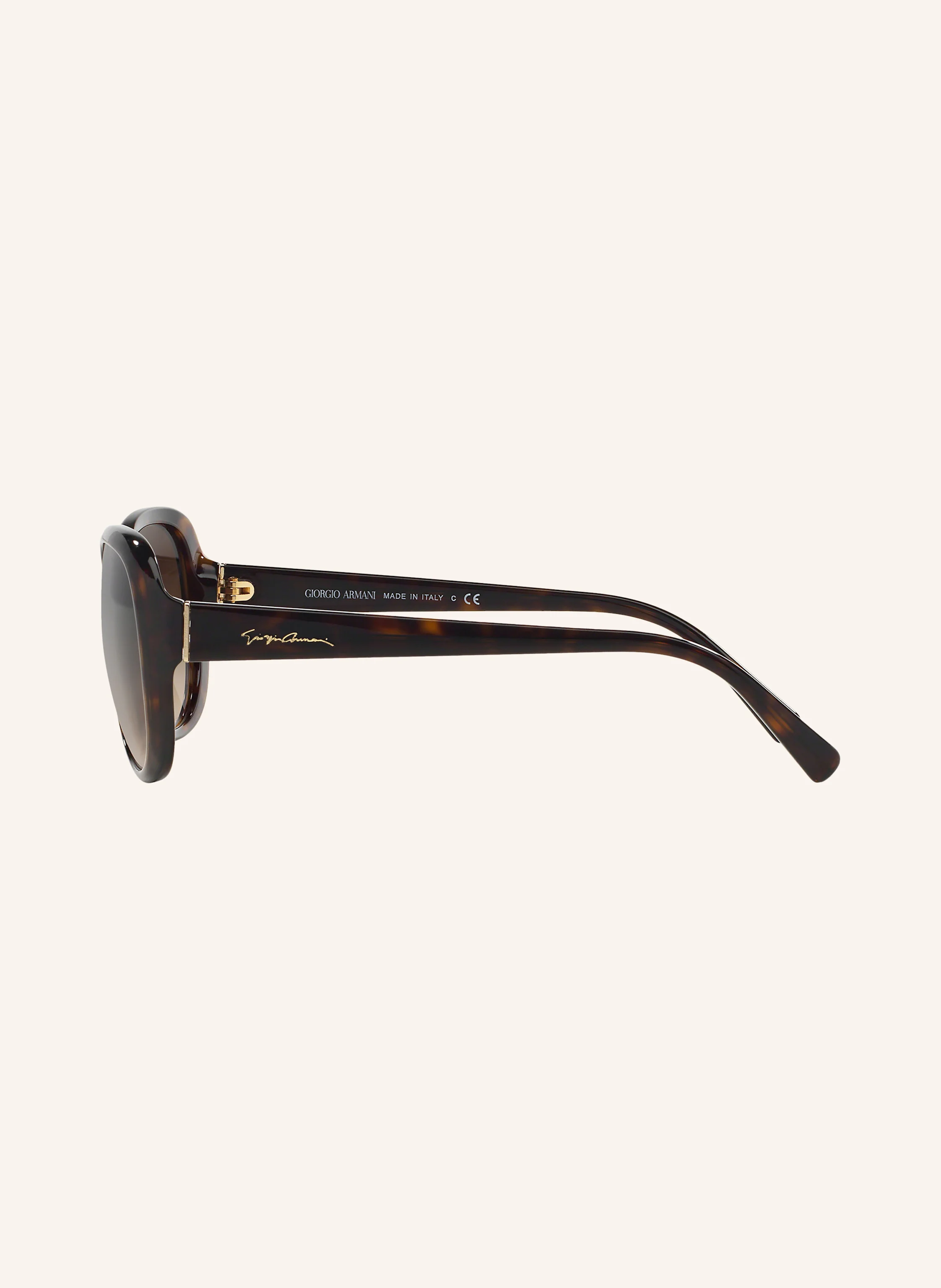 GIORGIO ARMANI Sonnenbrille AR8047