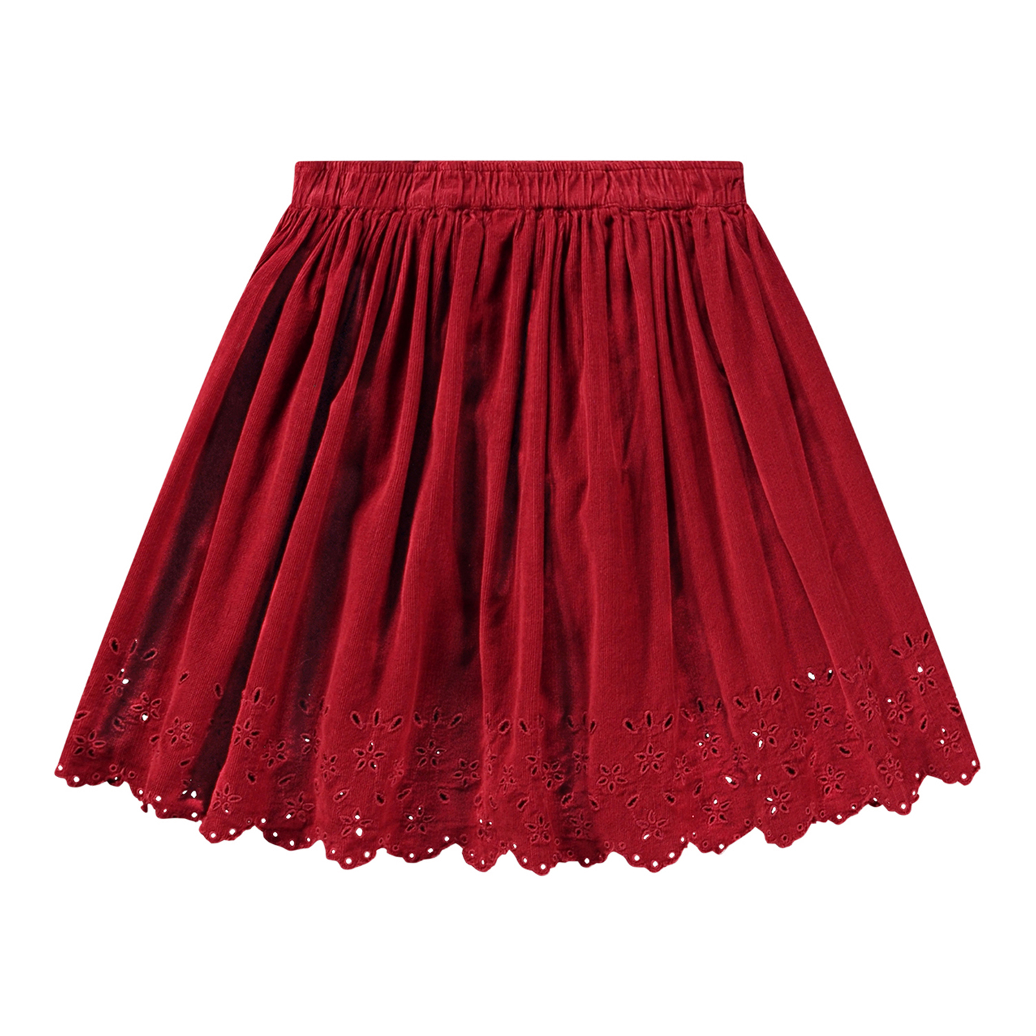 Bellis - Velvety