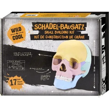 Die Spiegelburg Schädel-Bausatz - Wild+Cool