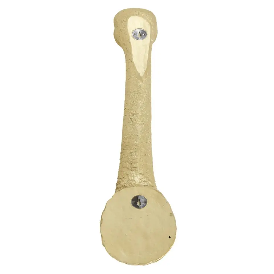 Wandlamp Ostrich - Goud - 25x19x72cm
