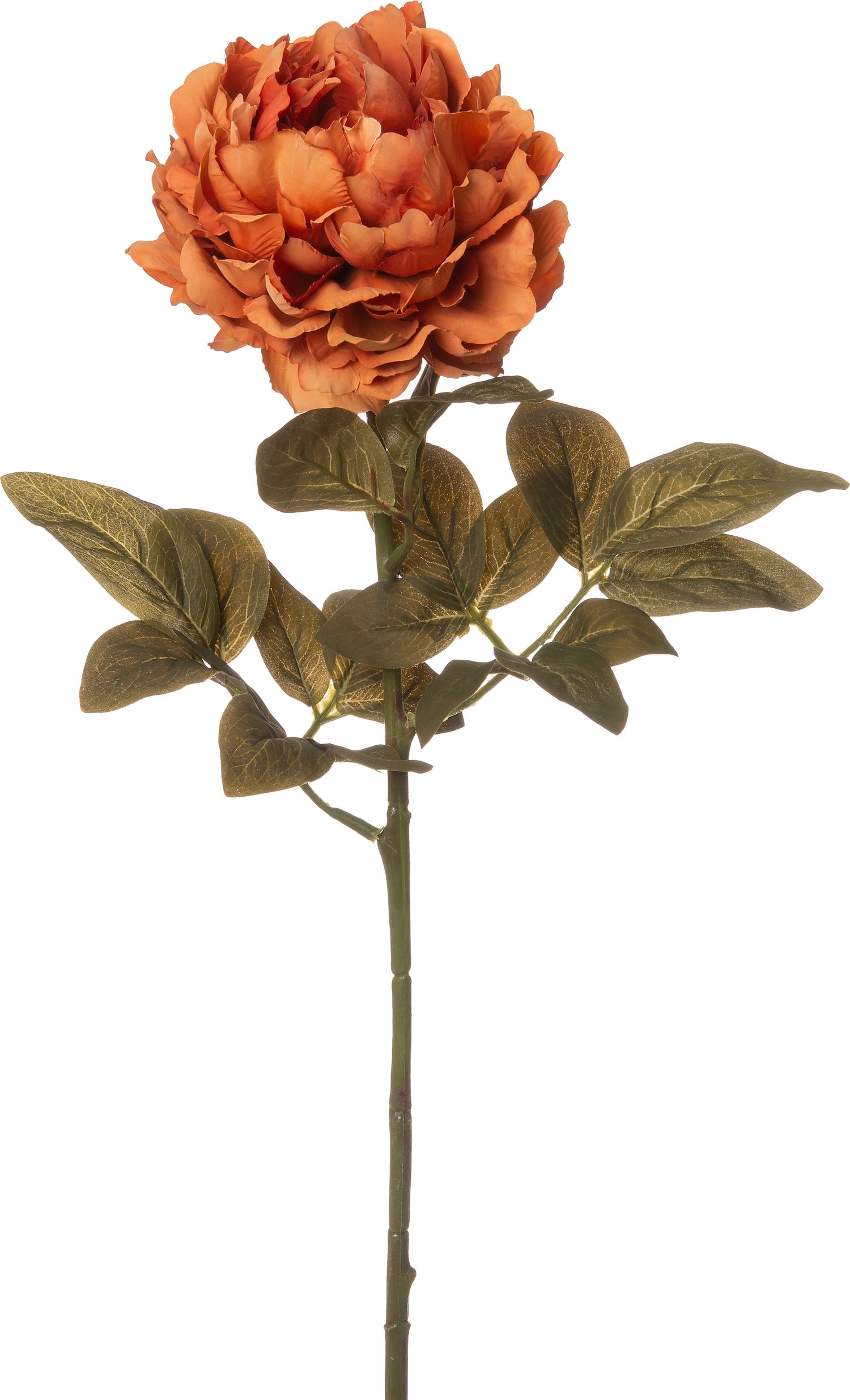 Intratuin kunstbloem Pioen 68 cm oranje