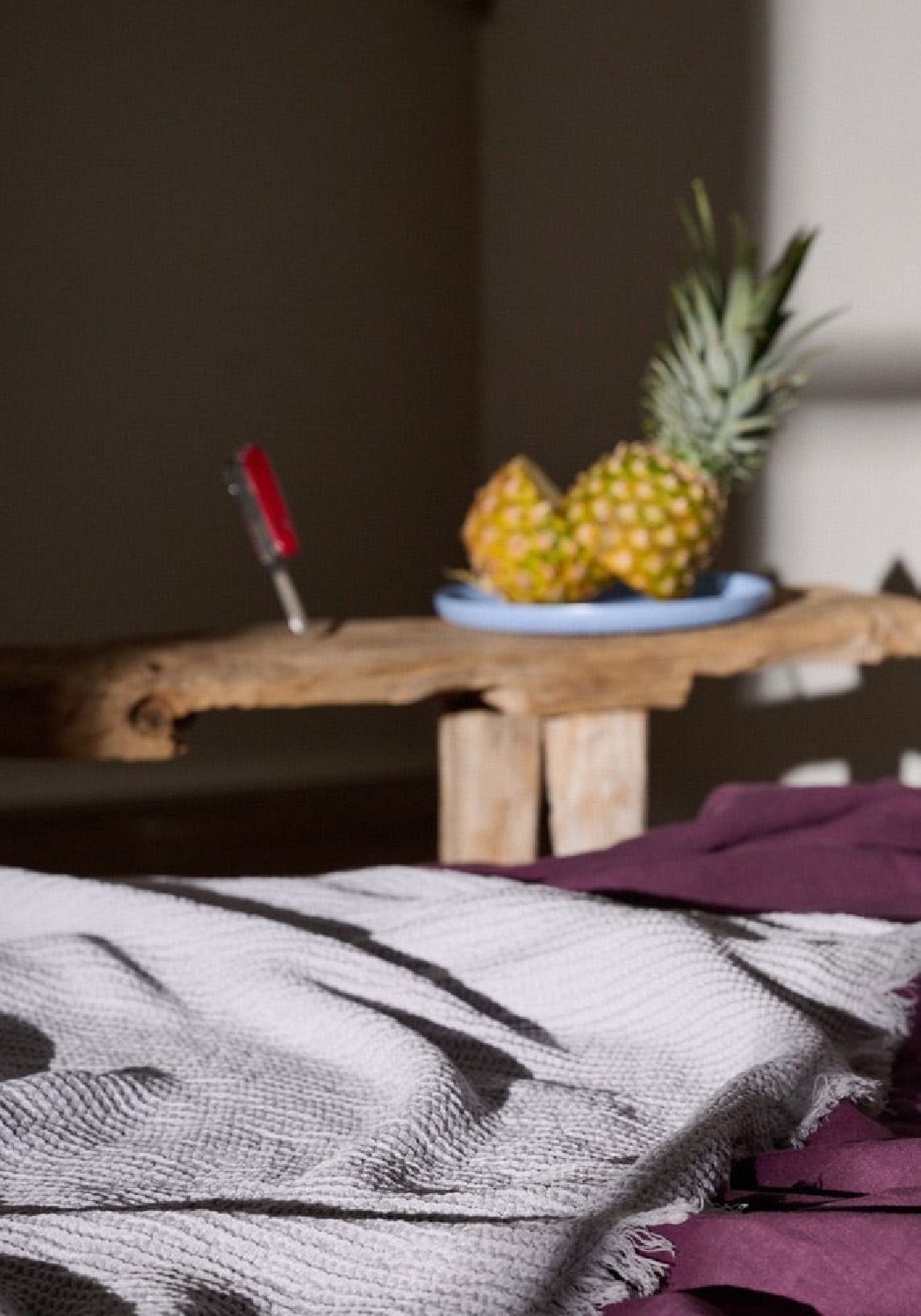 Lavie Oberleintuch Linus Plum
