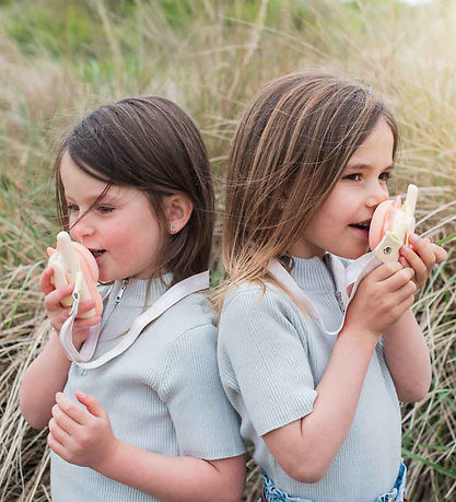 The Zoofamily Walkie-Talkies - Dino Pink