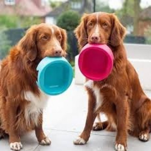 Tigela antibacteriana para cães Hero Hownd, cor azul-turquesa