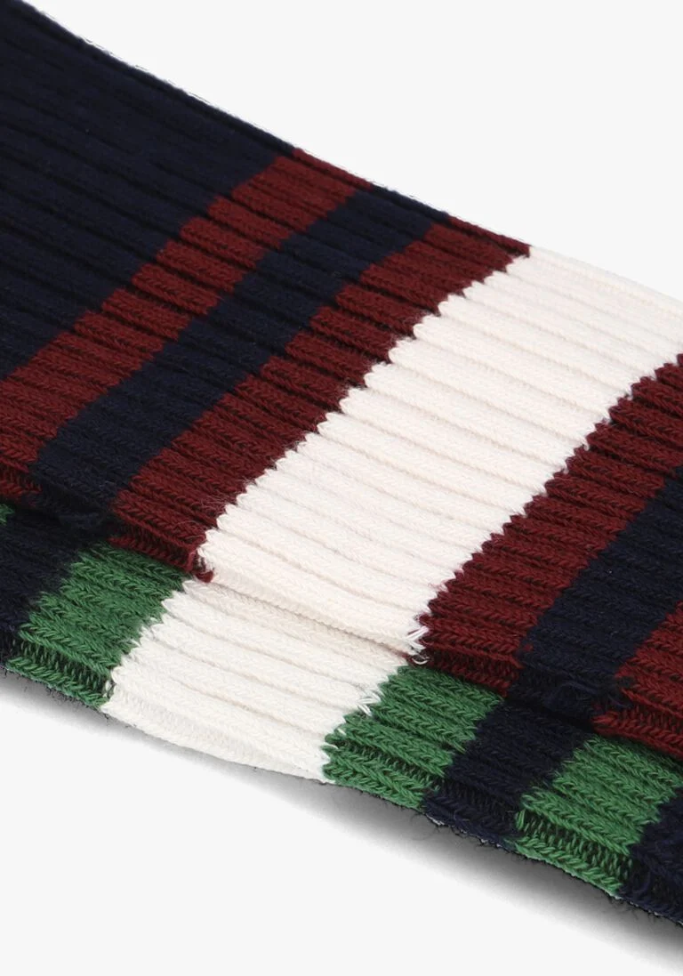 MARCMARCS blauwe marcmarcs sokken zion cotton 2-pack