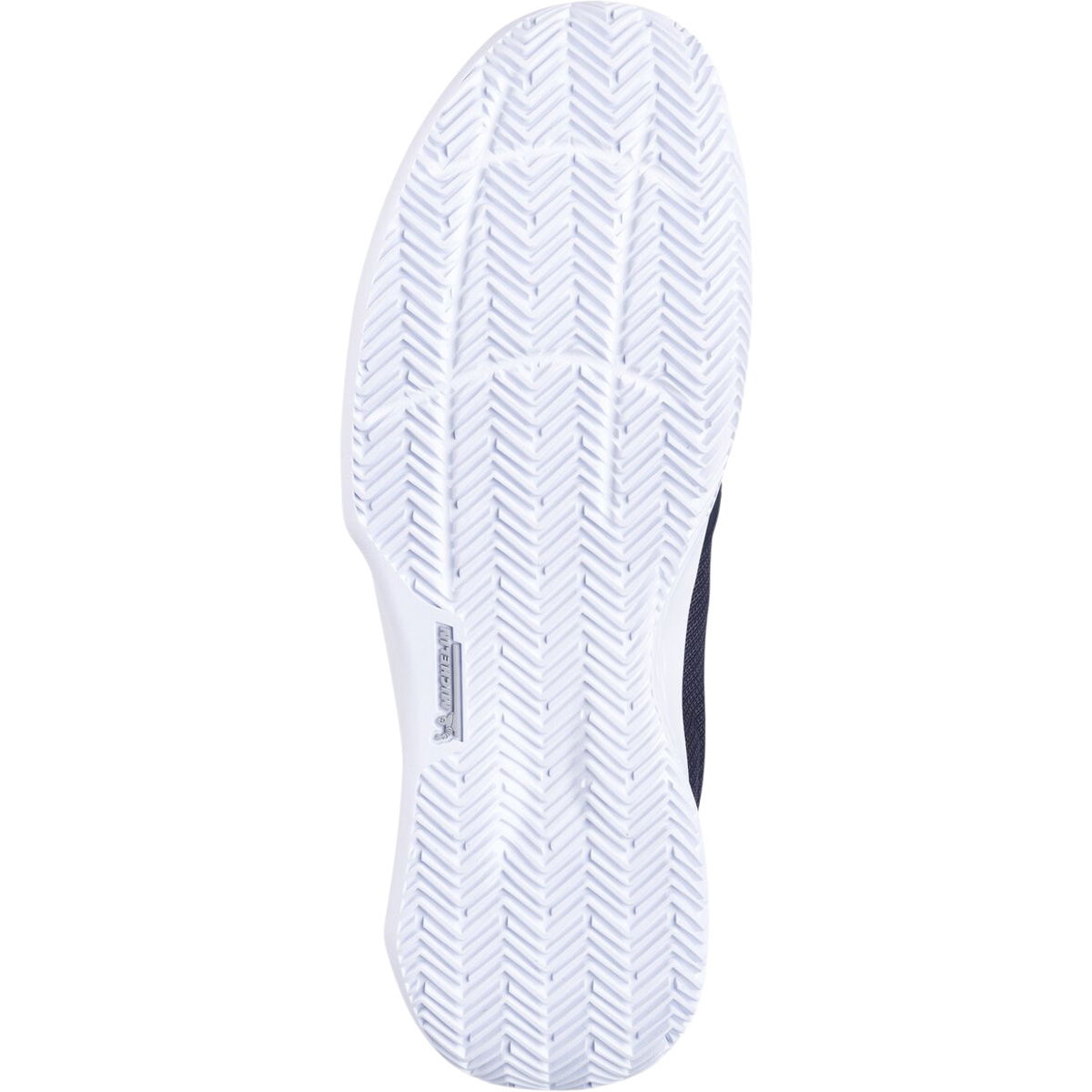 Babolat SFX Evo Clay Tennissko Herre