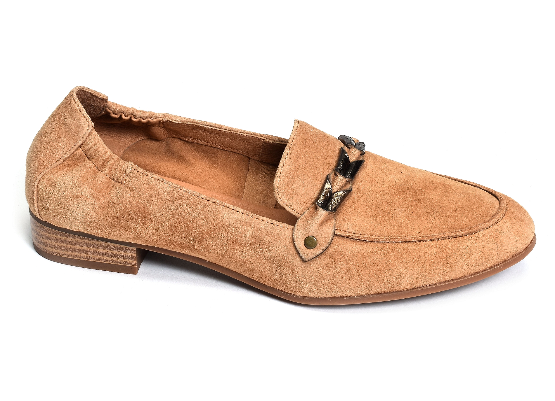 Zanga camel