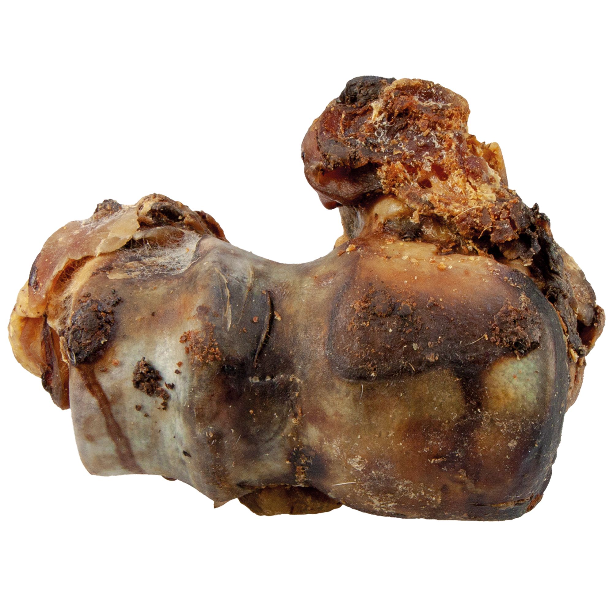 Schecker Knochenköpfe - aus der Region große Endstücke von Bullen Oberschenkelknochen