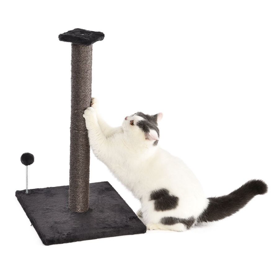 Arranhador para Gatos WUAPU 3x1 Marrom 69x40x138