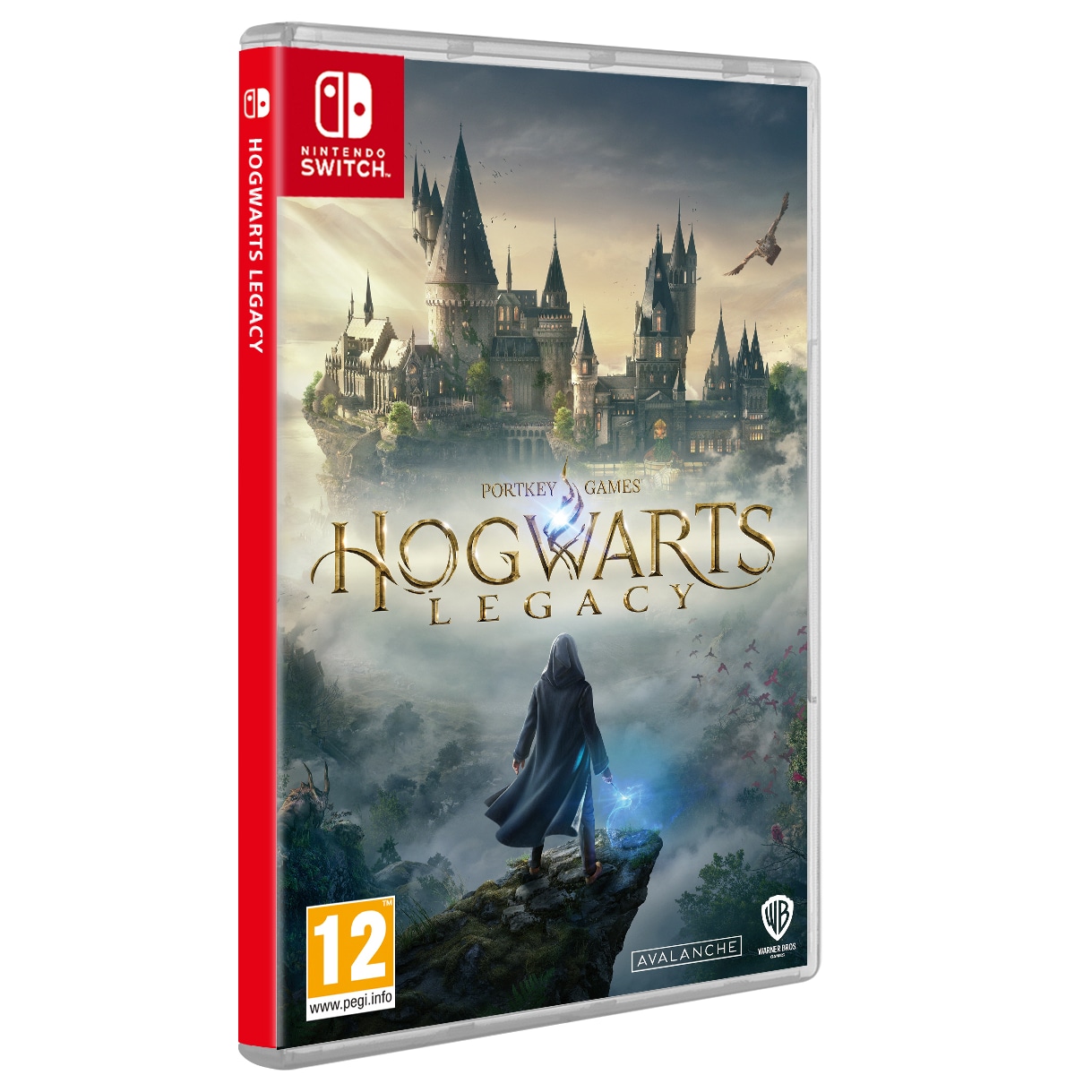 Hogwarts Legacy (Switch)