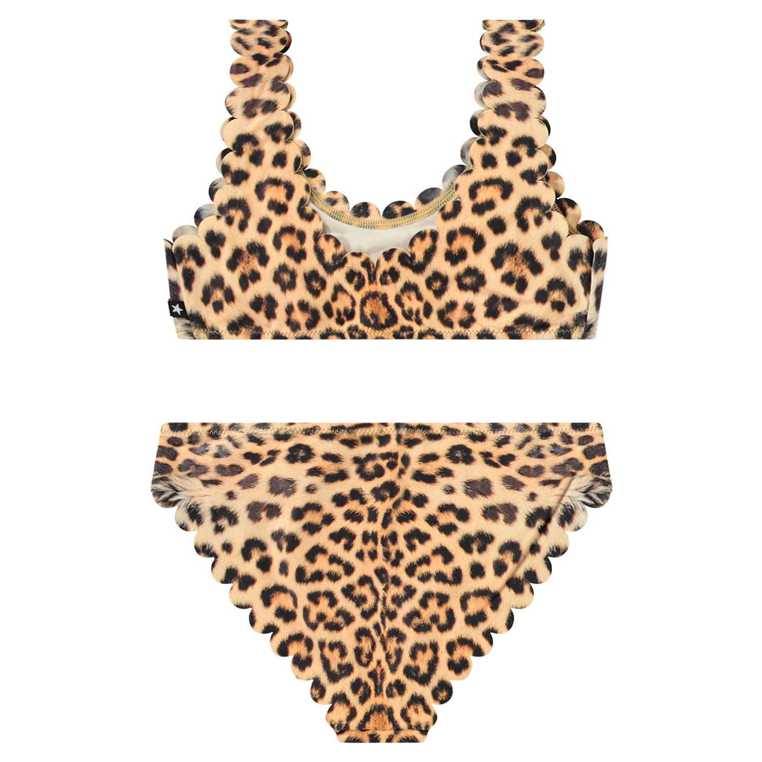 Nolina - Leo Swim