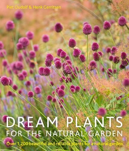 Dream Plants for the Natural Garden (Paperback)