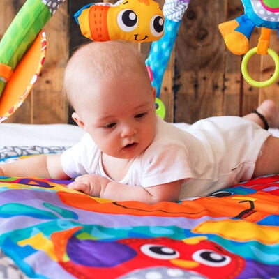 PlayGro Clip Clop Musical Babygym
